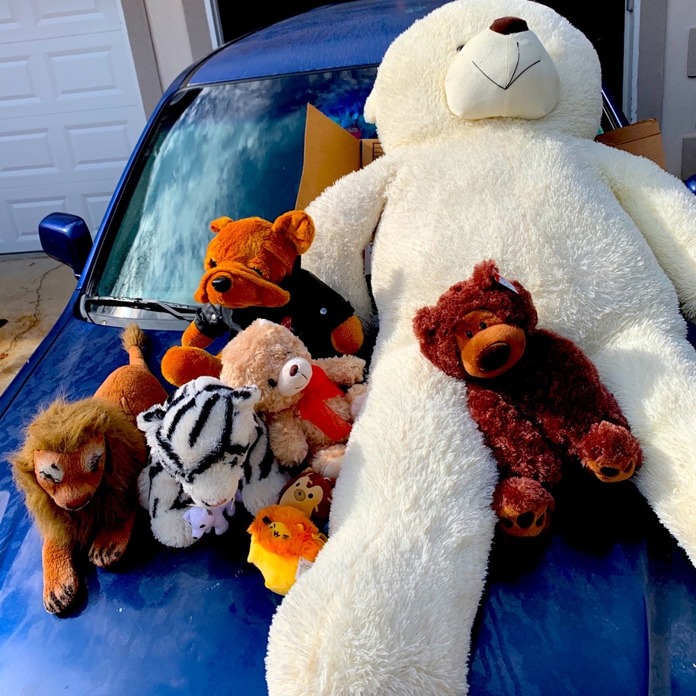 Huge TEDDY BEAR